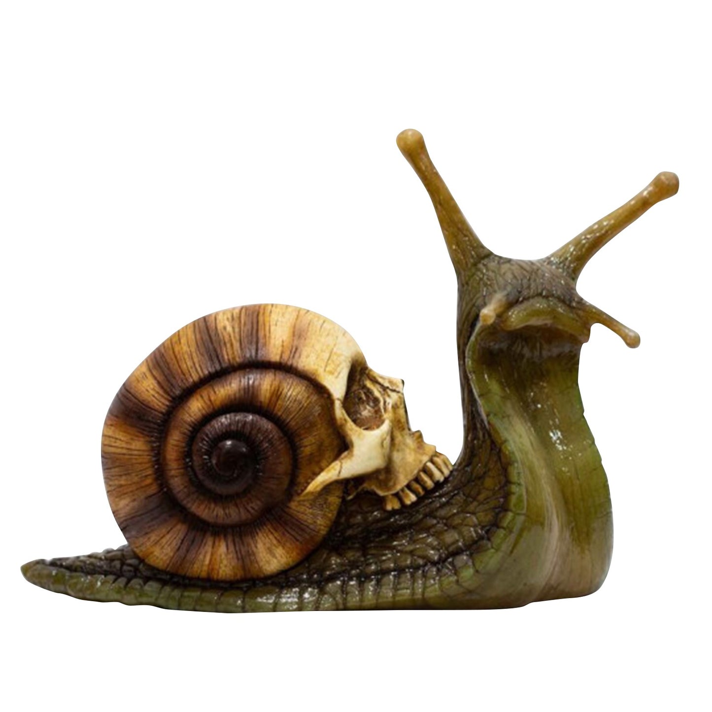 Snail Skull Sculpture
