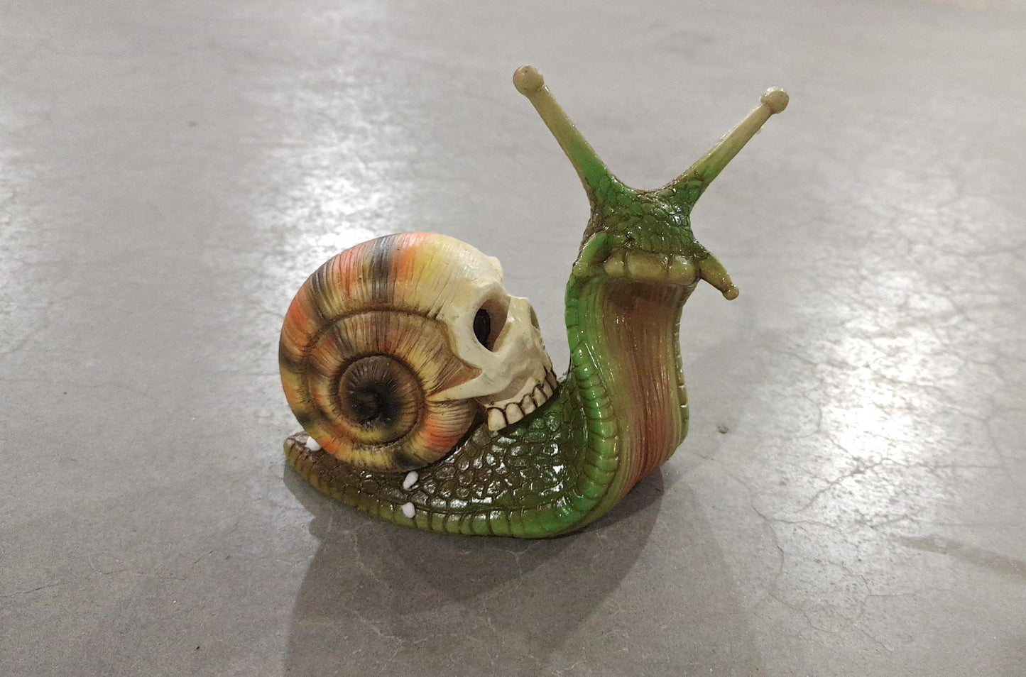 Snail Skull Sculpture