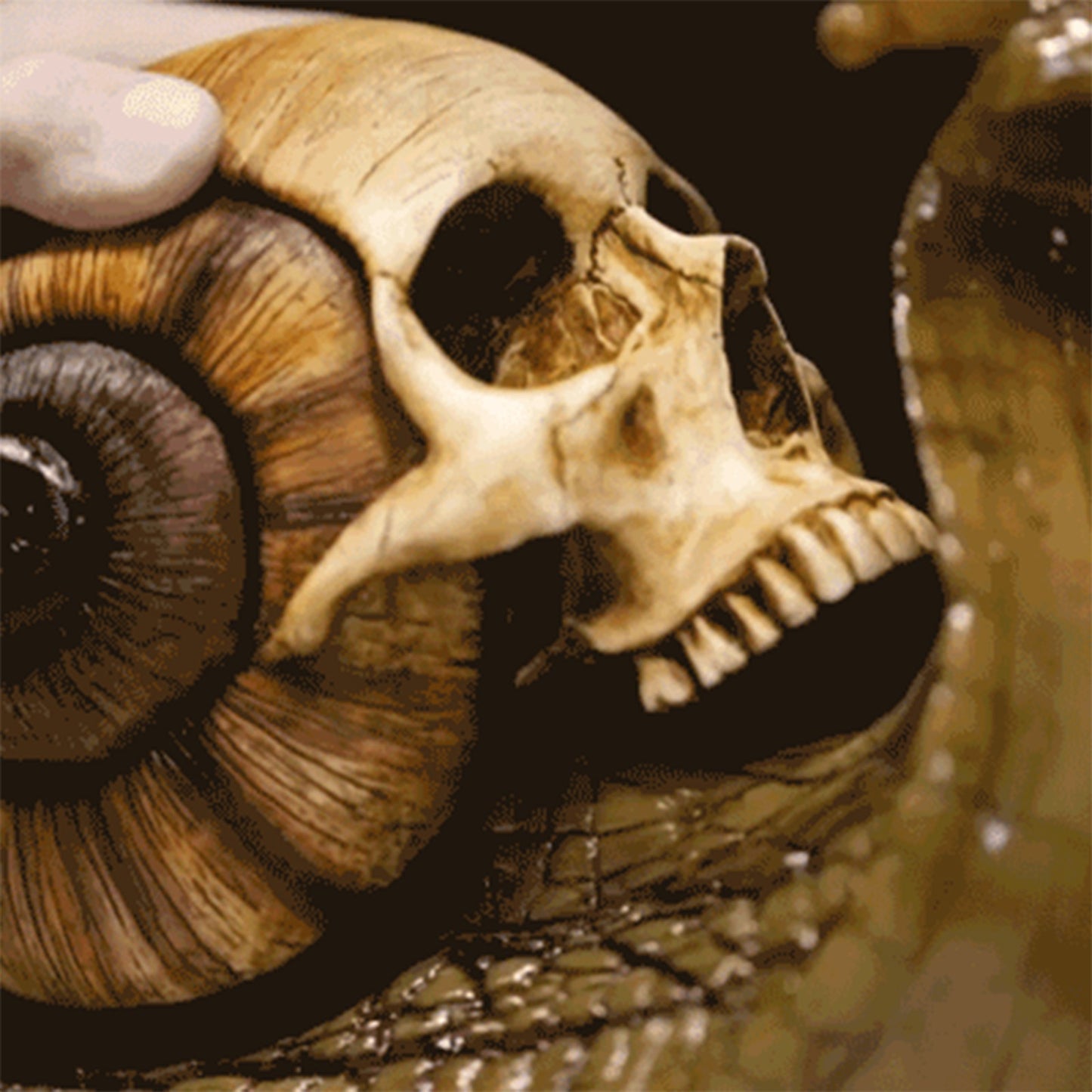 Snail Skull Sculpture